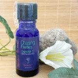 Solar Plexus Chakra, Chasing Fireflies, Essential Oil Blend, Aromatherapy, Chakra 3