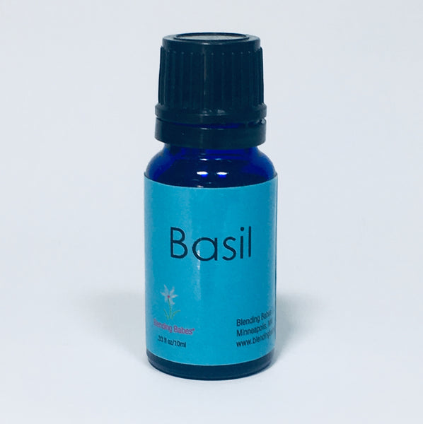 Basil (ocimum basilicum)