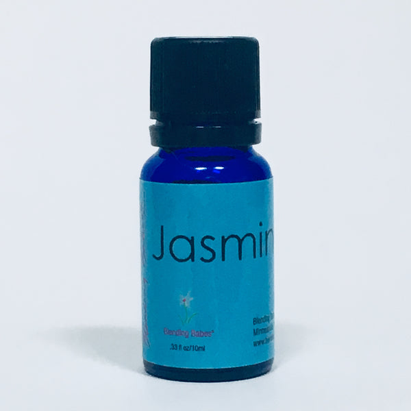 Jasmine (Jasminum officinale)